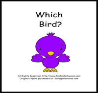 Which Bird is Which Riddle Book