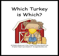 Which Turkey is Which Riddle Book