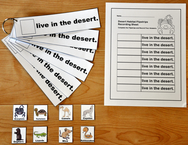 \"Live in the Desert\" Flip Strips