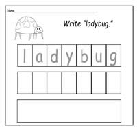 Handwriting Practice Set 33: Write Ladybug Life Cycle Words