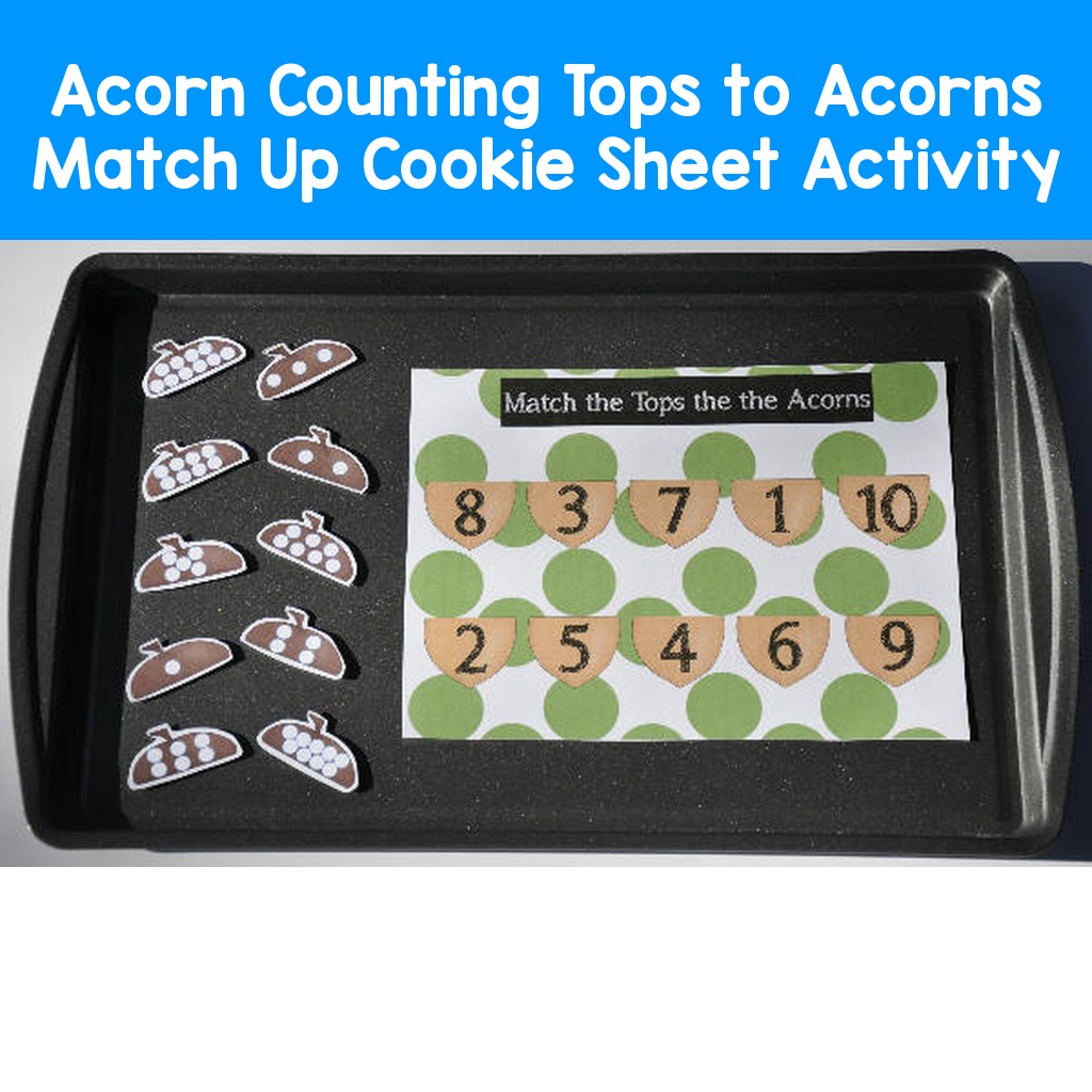 Acorn Counting Tops to Acorns Match Up Cookie Sheet Activity