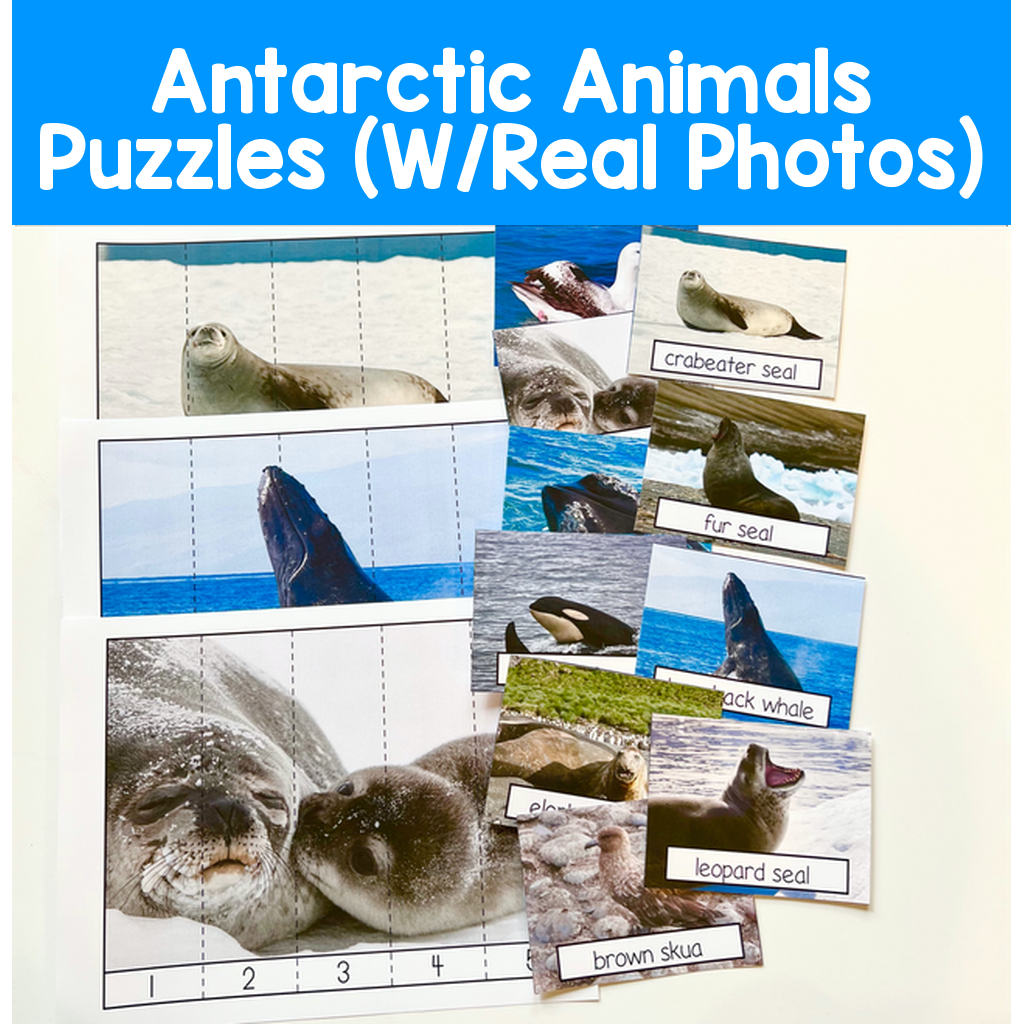 Antarctic Animals Puzzles (W/Real Photos)