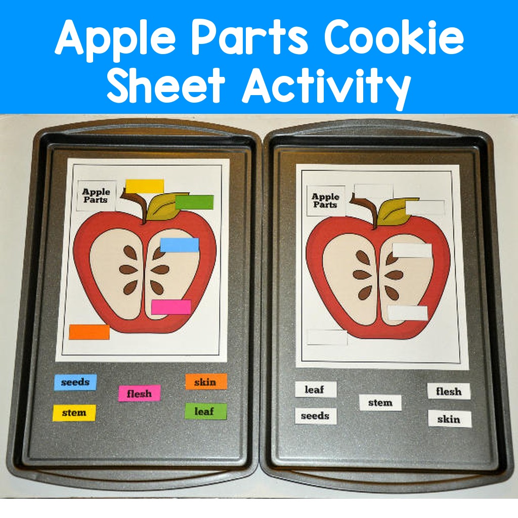 Apple Parts Cookie Sheet Activity