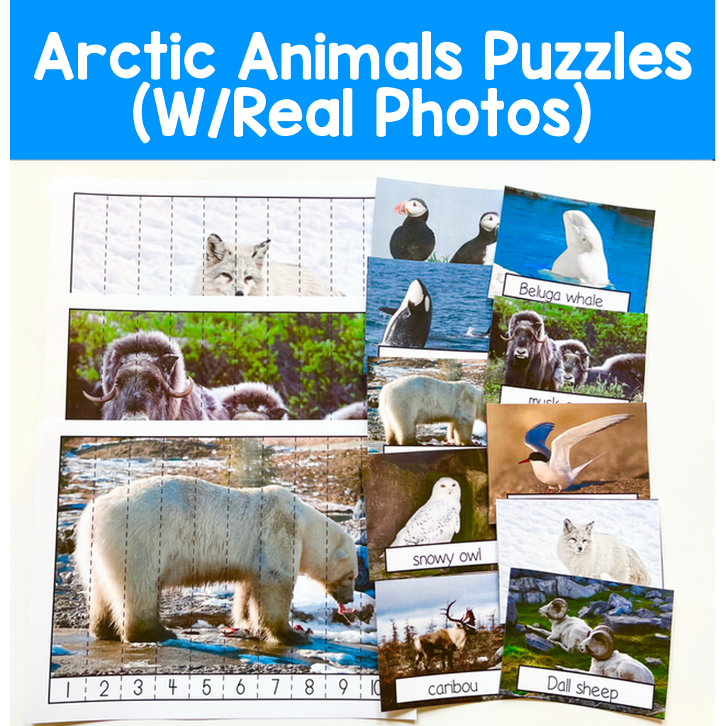 Arctic Animals Puzzles (W/Real Photos)