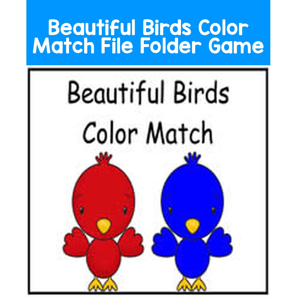 Beautiful Birds Color Match File Folder Game