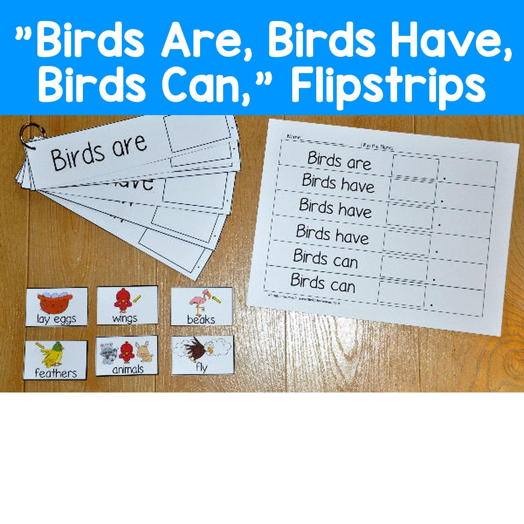 "Birds Are, Birds Have, Birds Can," Flipstrips