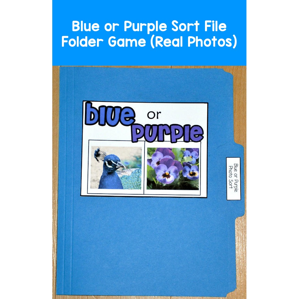 Blue or Purple Sort File Folder Game (Real Photos)