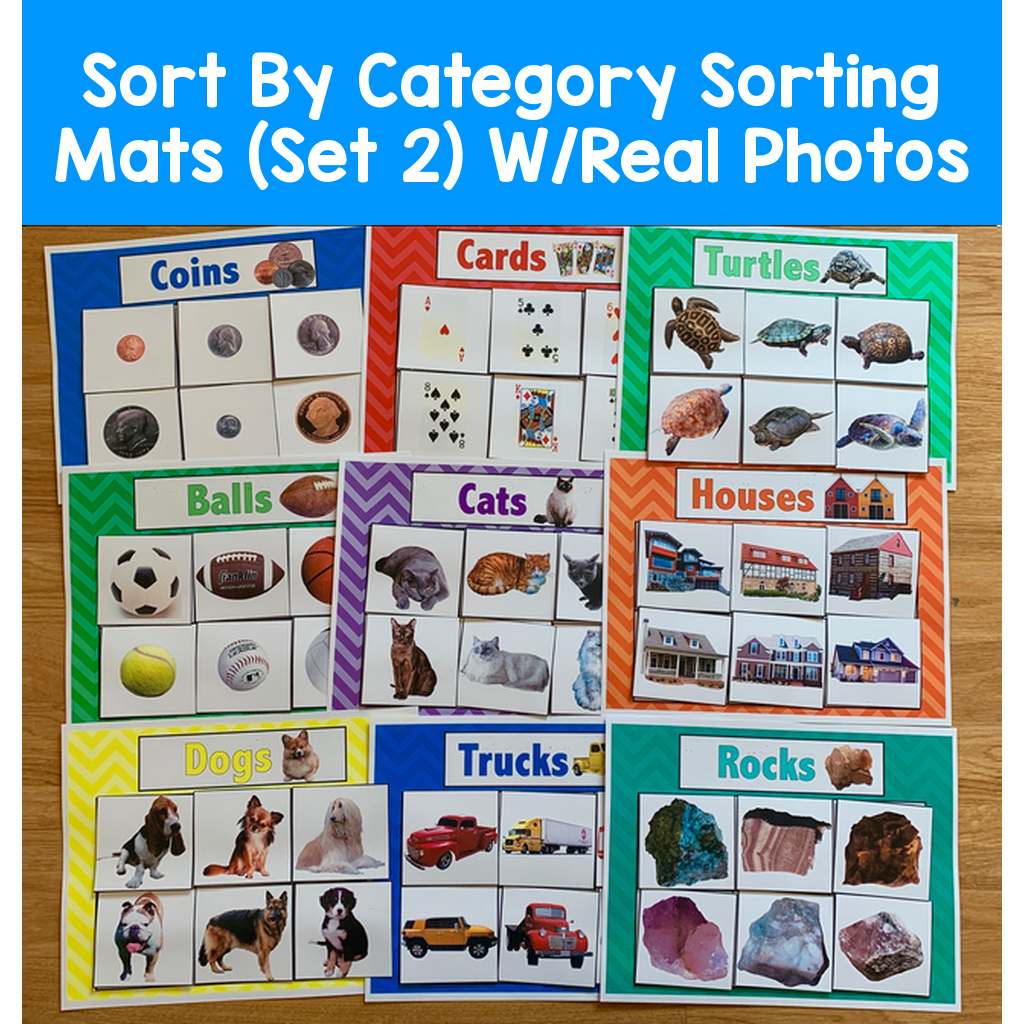 Sort By Category Sorting Mats (Set 2) W/Real Photos