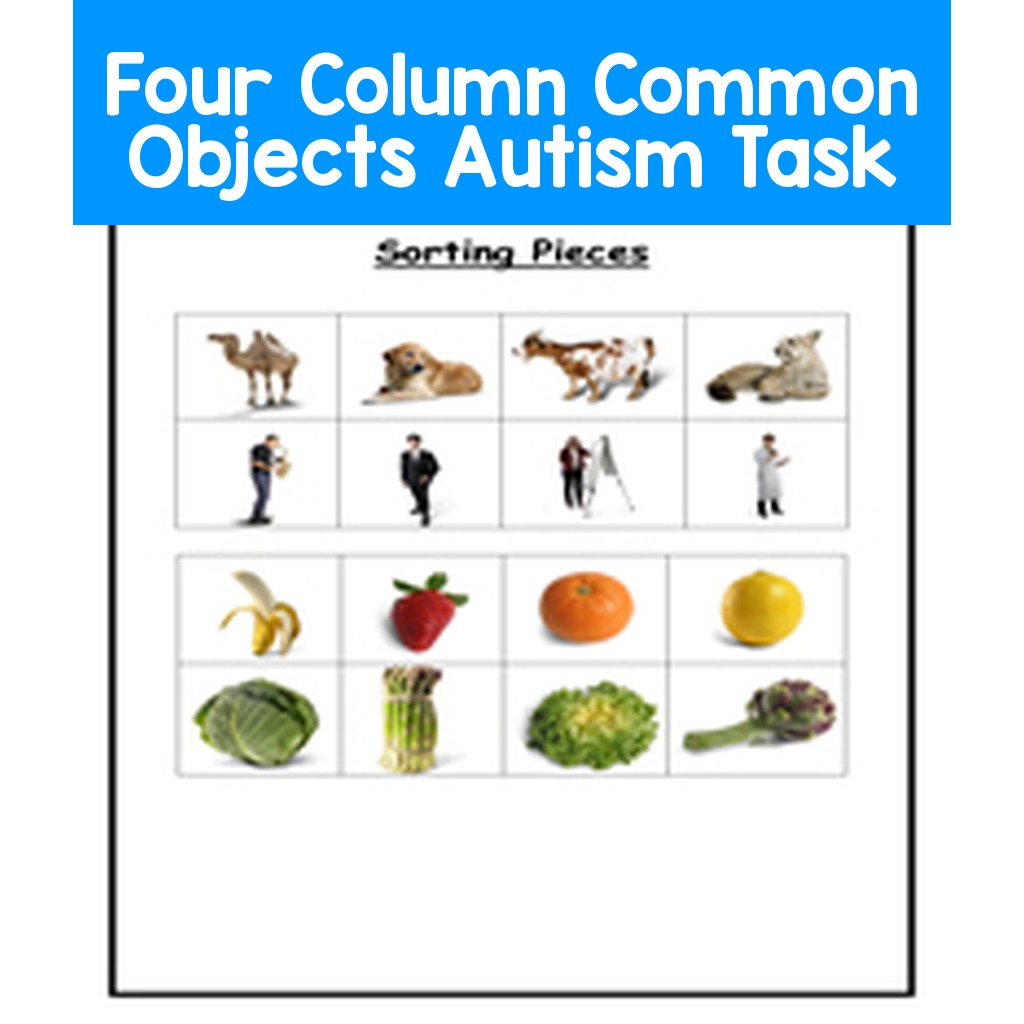 Four Column Common Objects Autism Task
