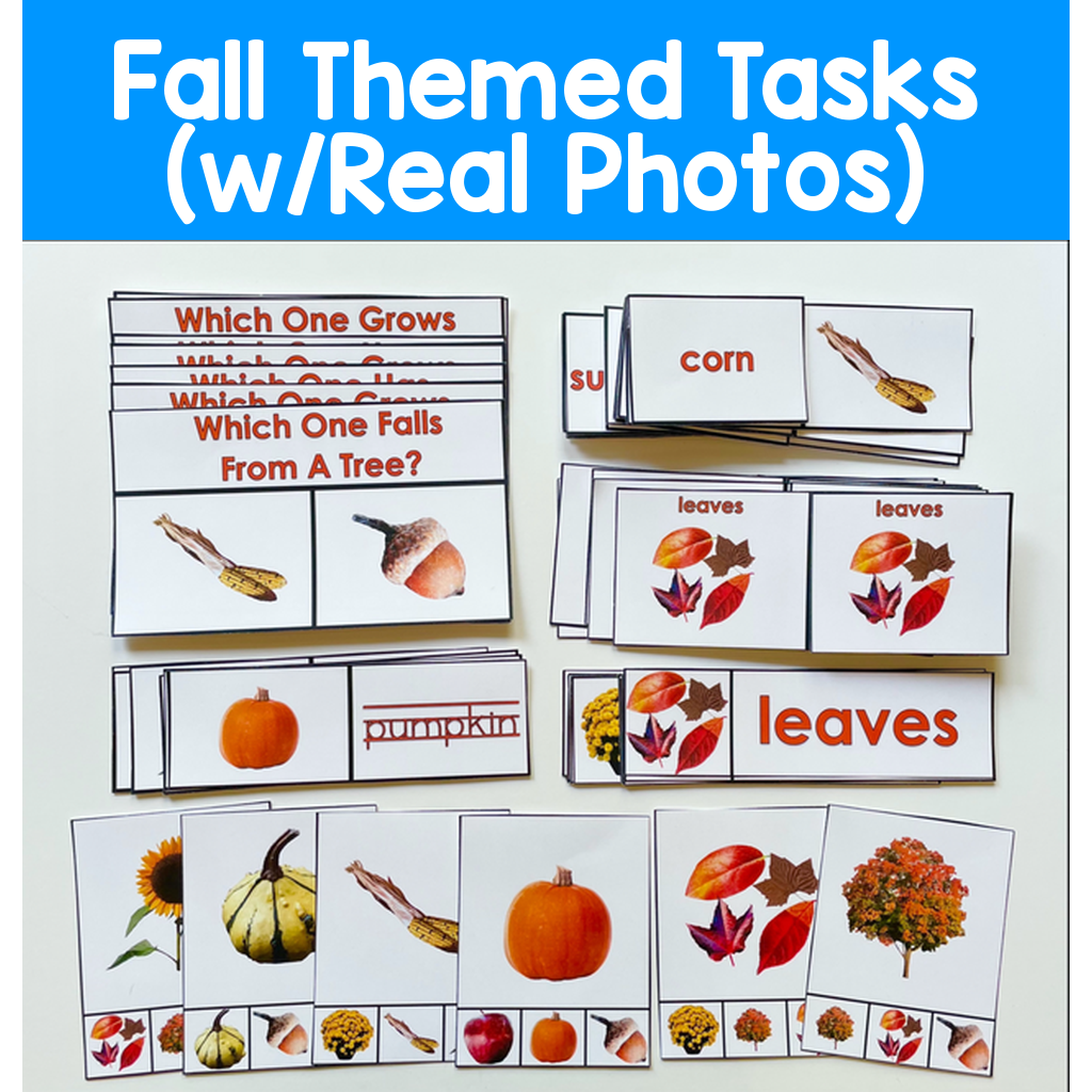 Fall Themed Tasks (w/Real Photos)