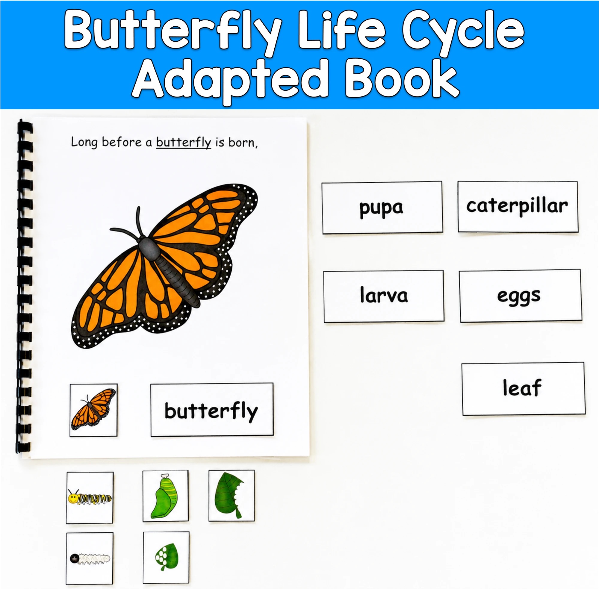 The Butterfly Life Cycle Adapted Book