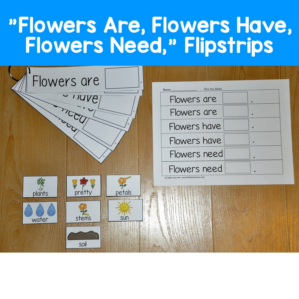 "Flowers Are, Flowers Have, Flowers Need," Flipstrips