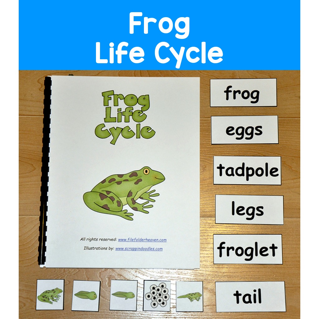 Frog Life Cycle Adapted Book