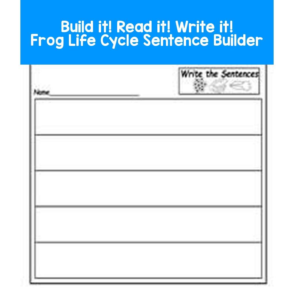 Build it! Read it! Write it!  Frog Life Cycle Sentence Builder