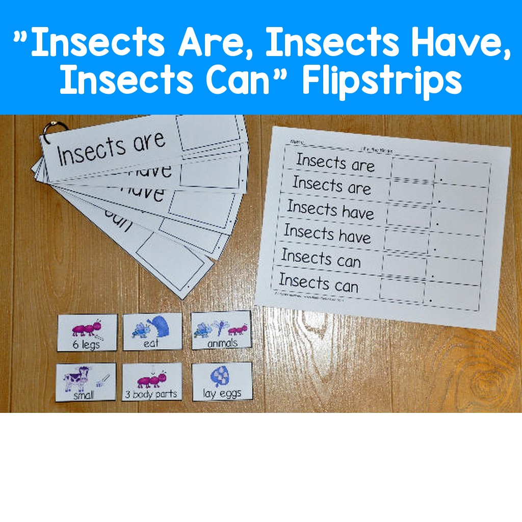 "Insects Are, Insects Have, Insects Can" Flipstrips