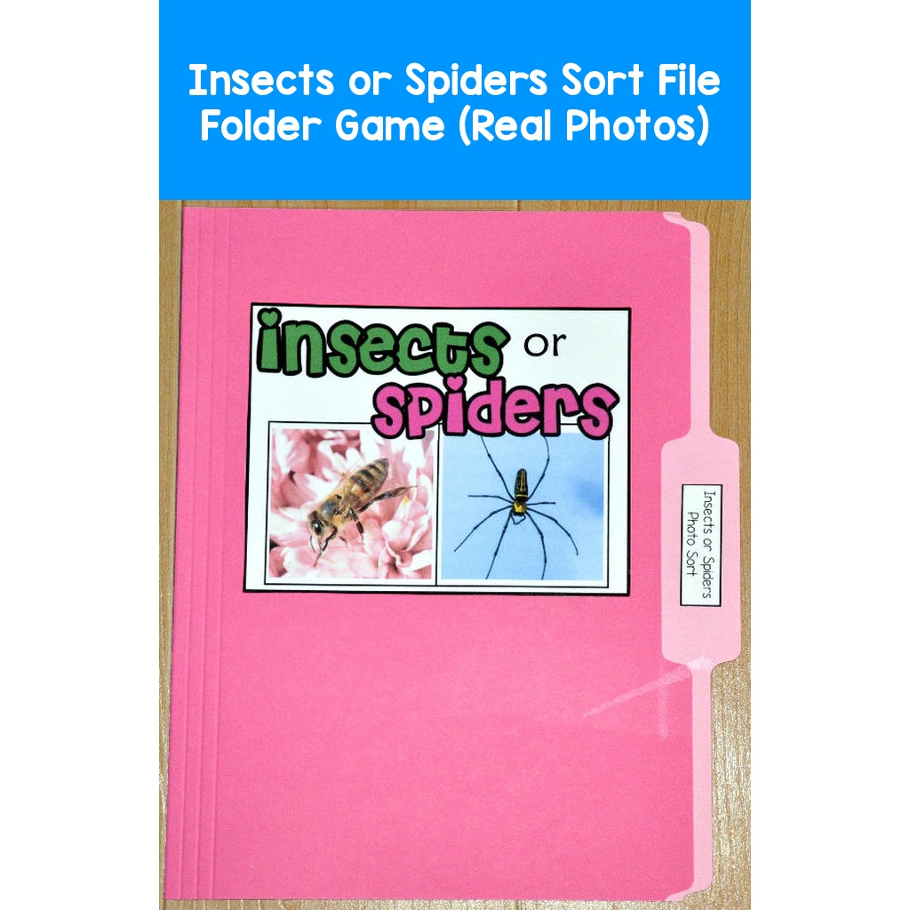 Insects or Spiders Sort File Folder Game (Real Photos)