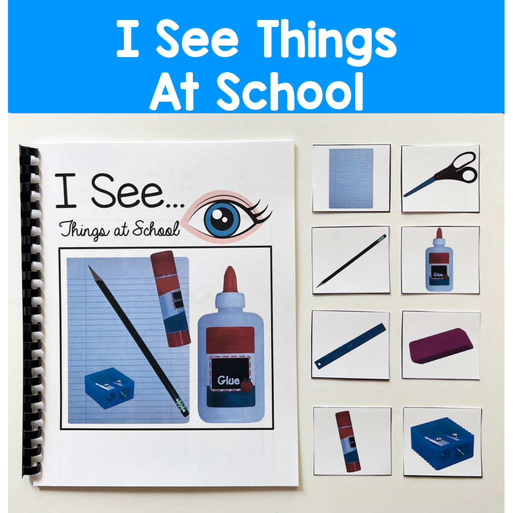 "I See" Things At School Adapted Book (w/Real Photos)