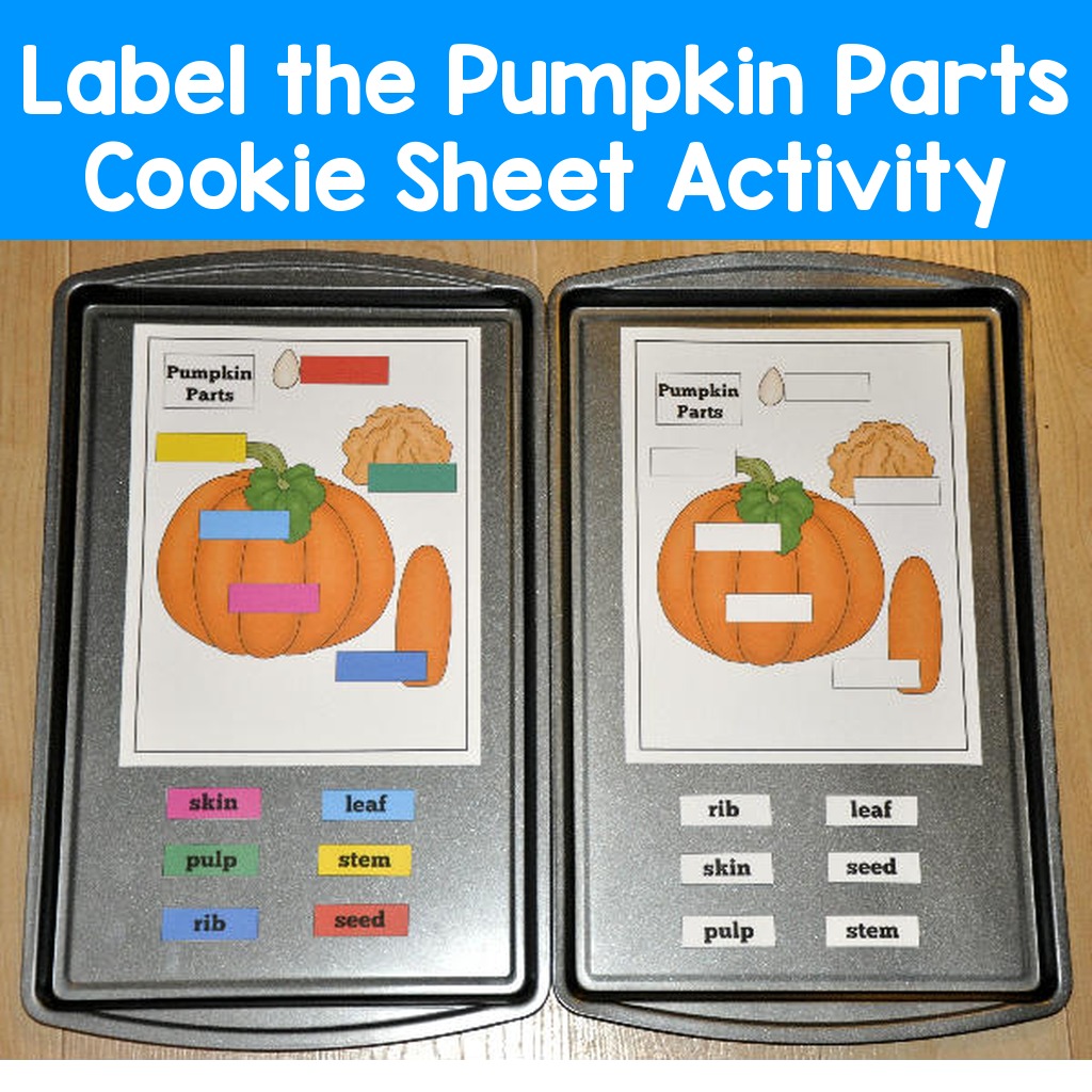 Label the Pumpkin Parts Cookie Sheet Activity