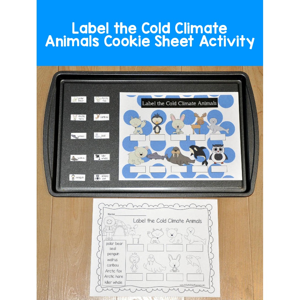 Label the Cold Climate Animals Cookie Sheet Activity