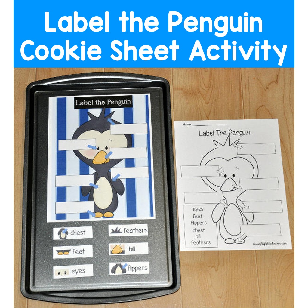Label the Penguin Cookie Sheet Activity