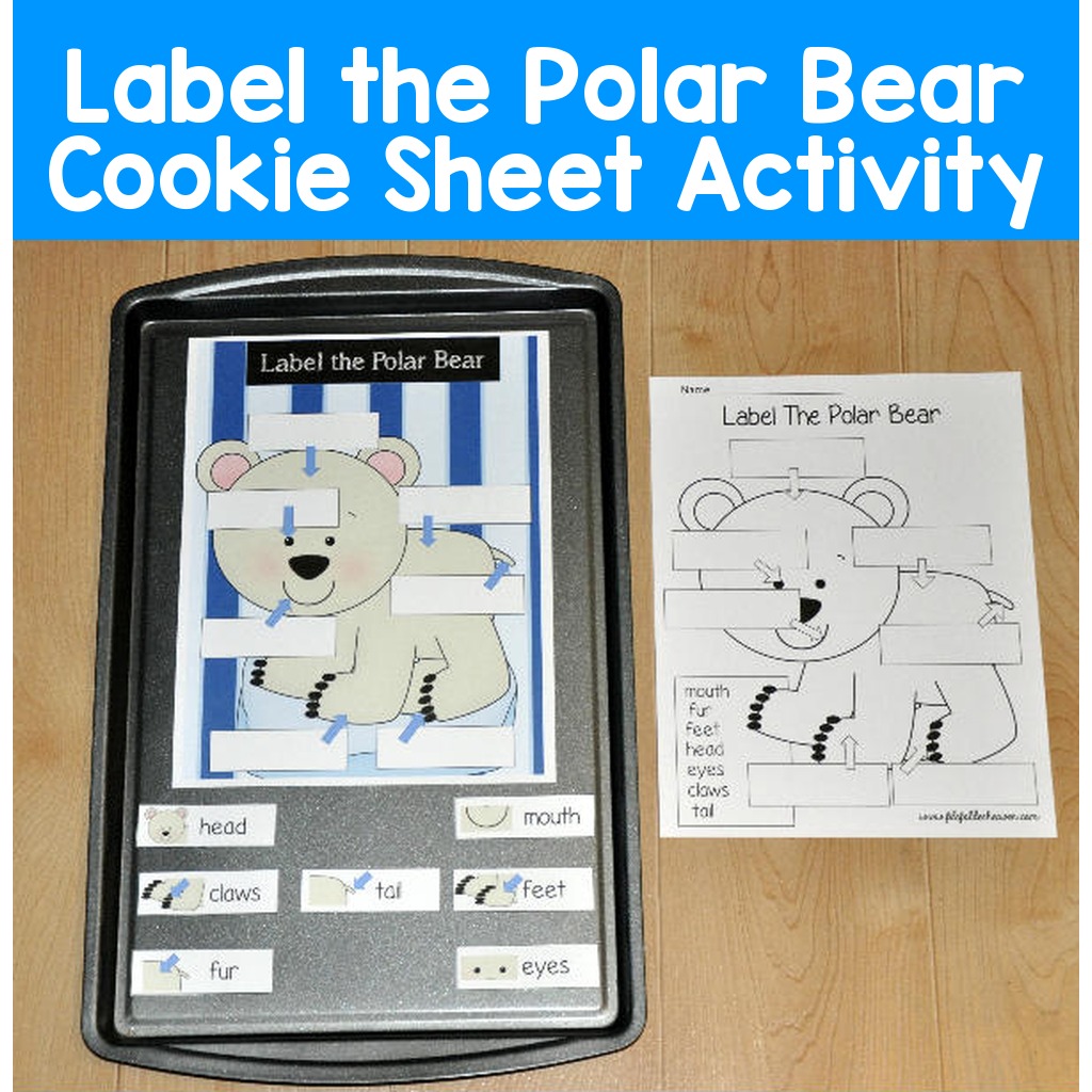 Label the Polar Bear Cookie Sheet Activity