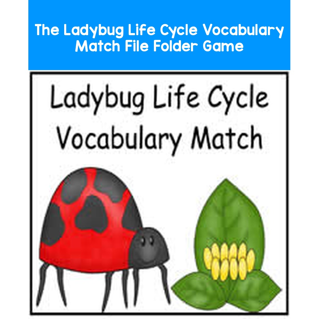 The Ladybug Life Cycle Vocabulary Match File Folder Game