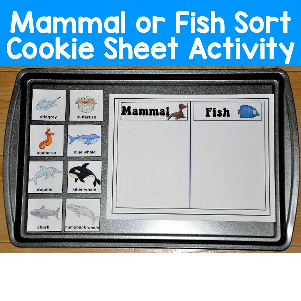 Mammal or Fish Sort Cookie Sheet Activity
