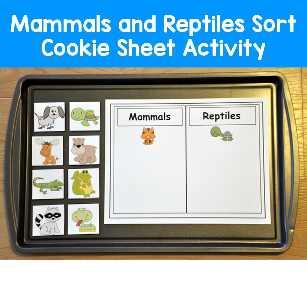 Mammals and Reptiles Sort Cookie Sheet Activity