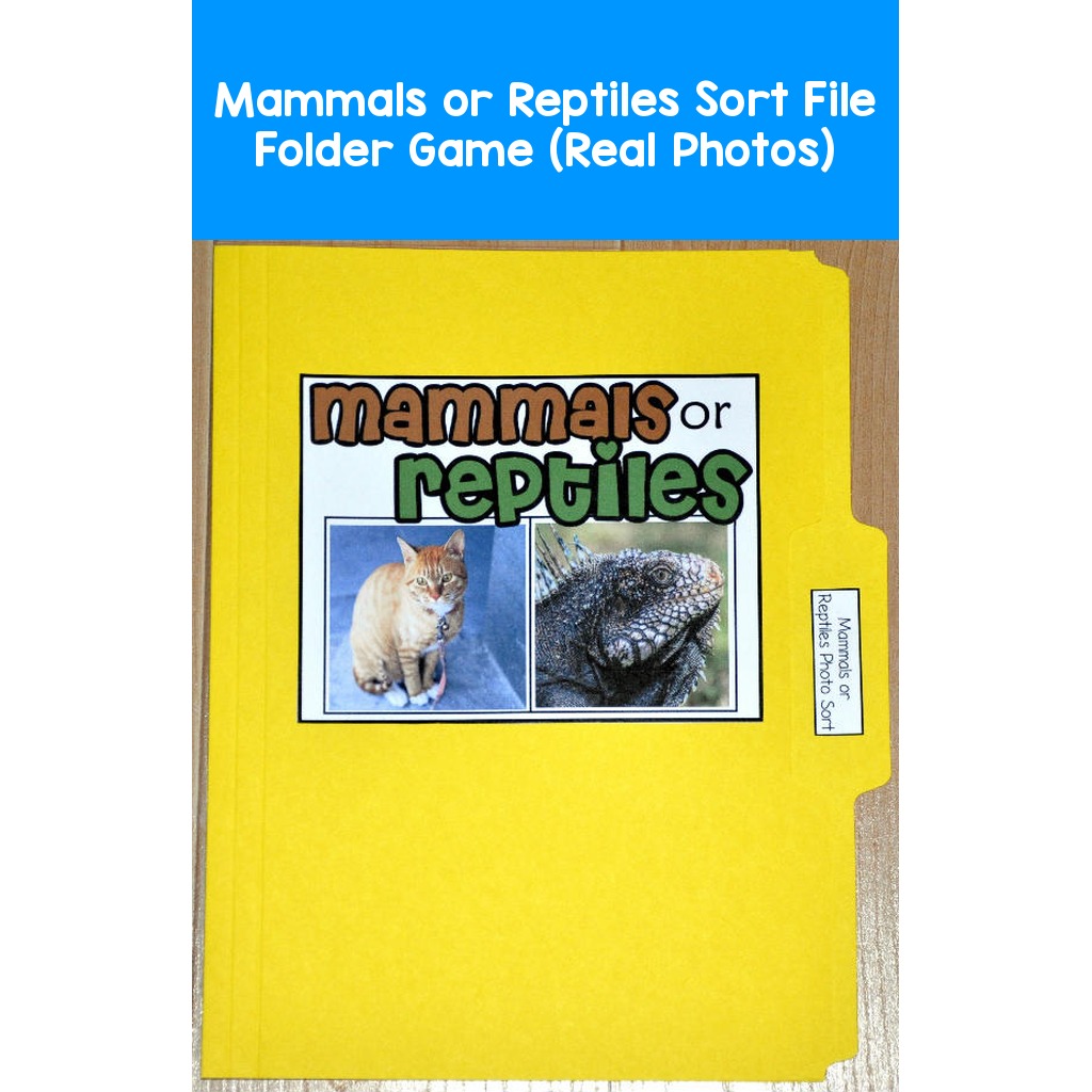 Mammals or Reptiles Sort File Folder Game (Real Photos)