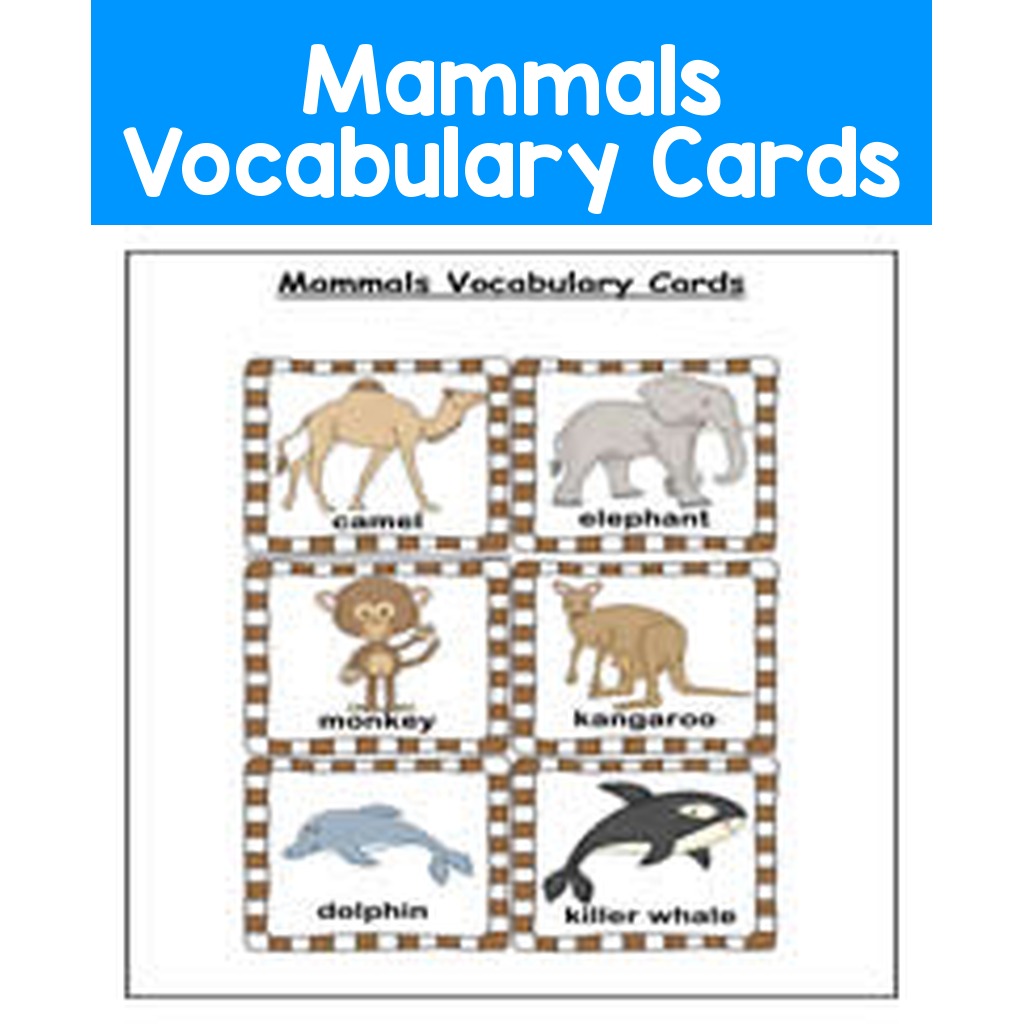 Mammals Vocabulary Cards