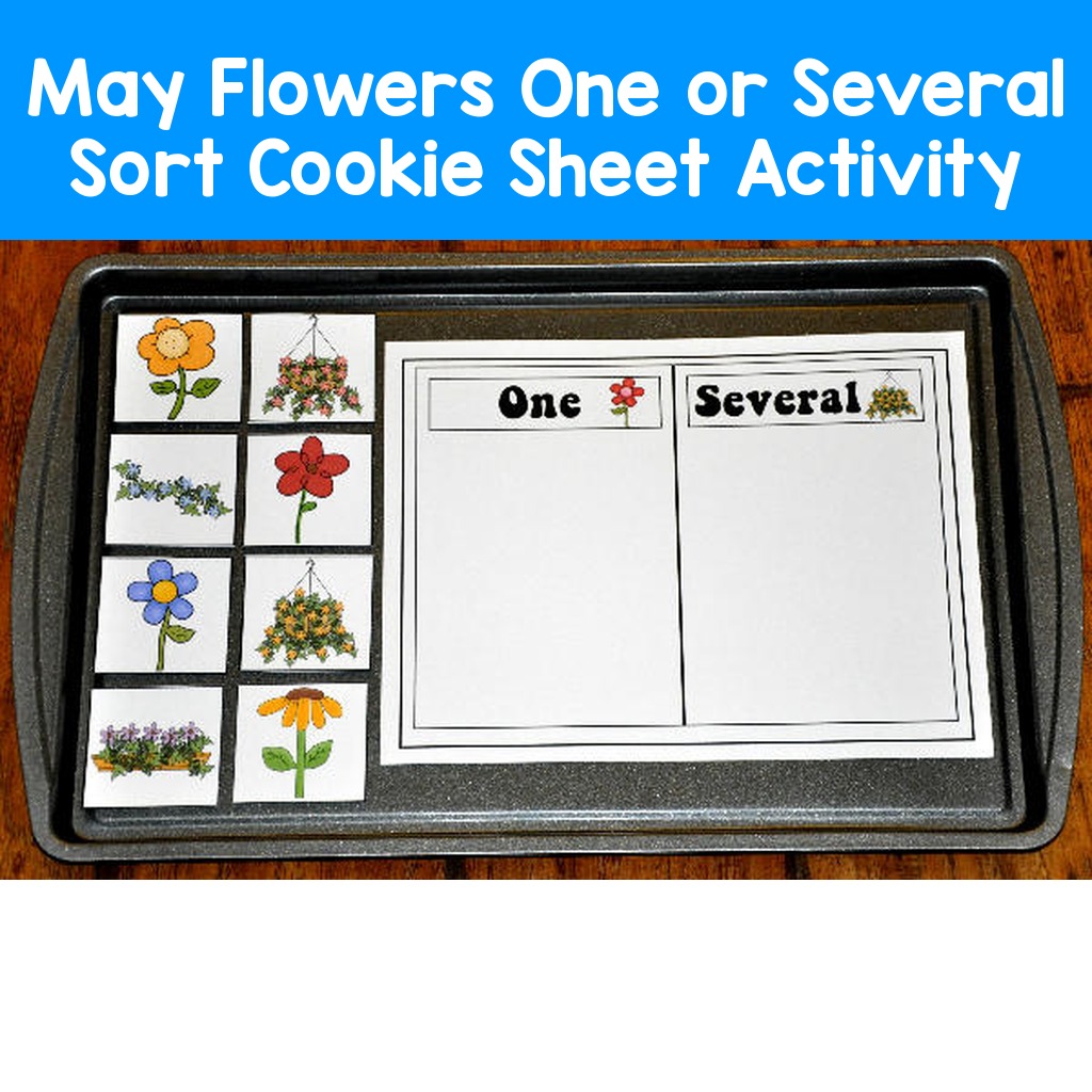 May Flowers One or Several Sort Cookie Sheet Activity