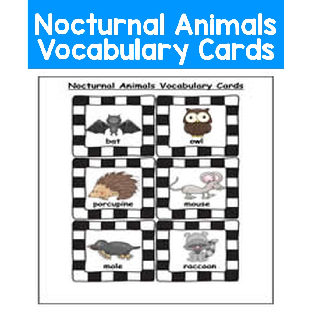 Nocturnal Animals Vocabulary Cards