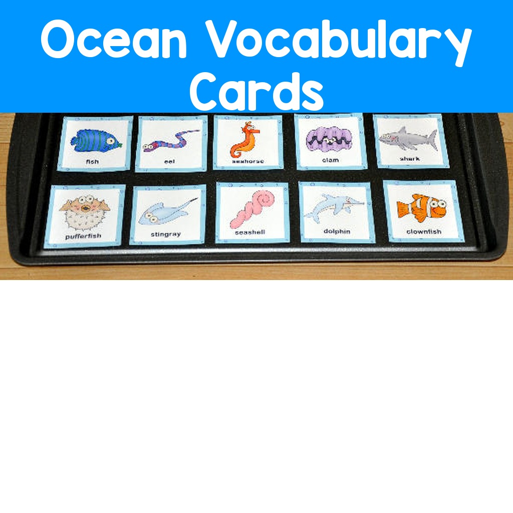 Ocean Vocabulary Cards