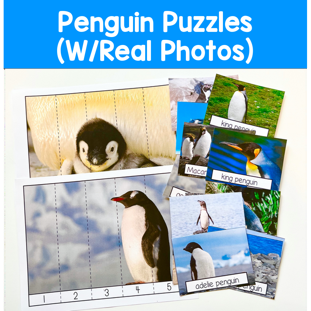 Penguin Puzzles (W/Real Photos)