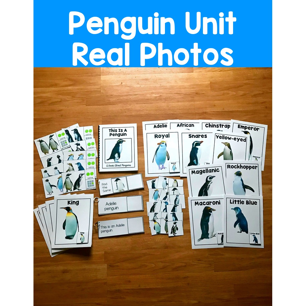Penguin Unit (w/Real Photos)