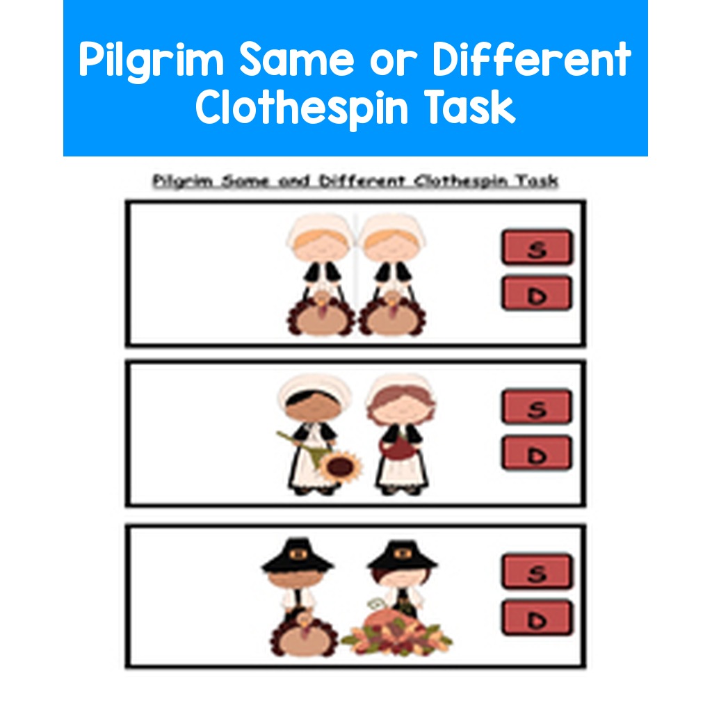 Pilgrim Same or Different Clothespin Task