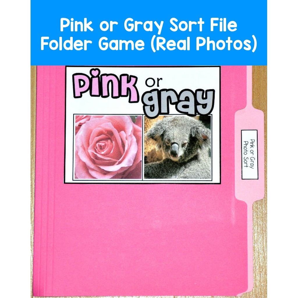 Pink or Gray Sort File Folder Game (Real Photos)