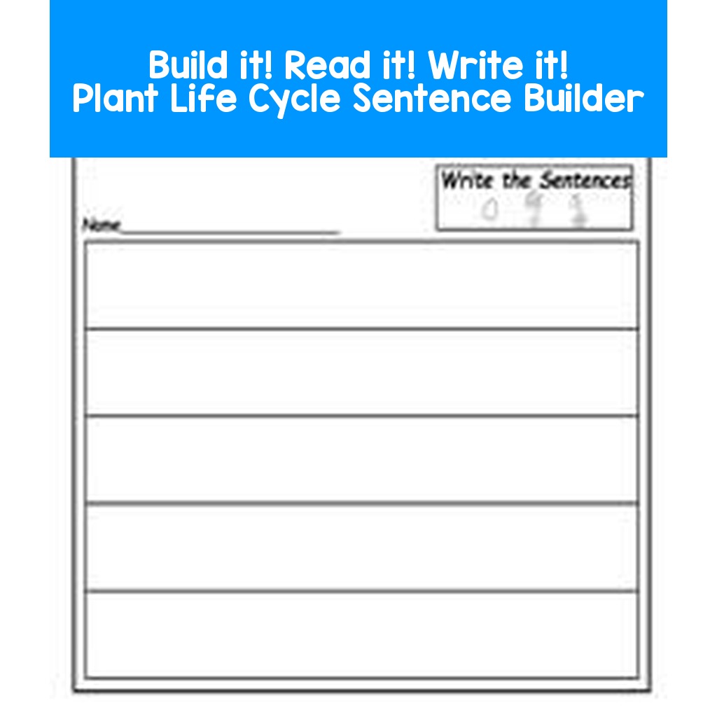 Build it! Read it! Write it! Plant Life Cycle Sentence Builder