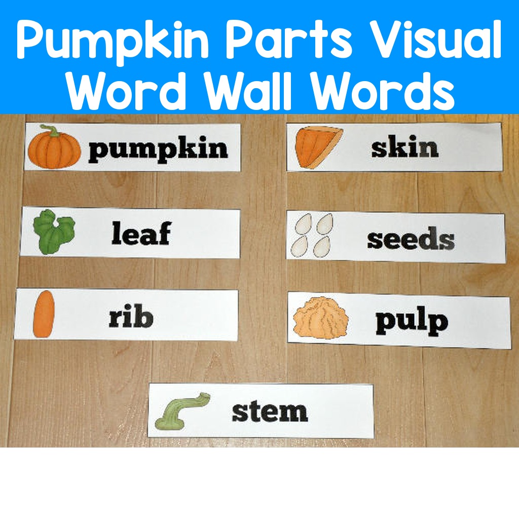 Pumpkin Parts Visual Word Wall Words