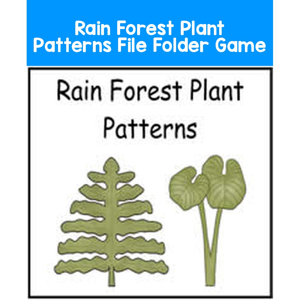 Rain Forest Plant Patterns File Folder Game
