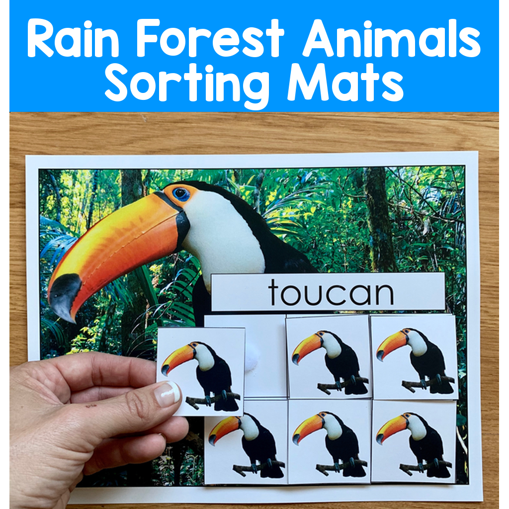 Rain Forest Animals Sorting Mats