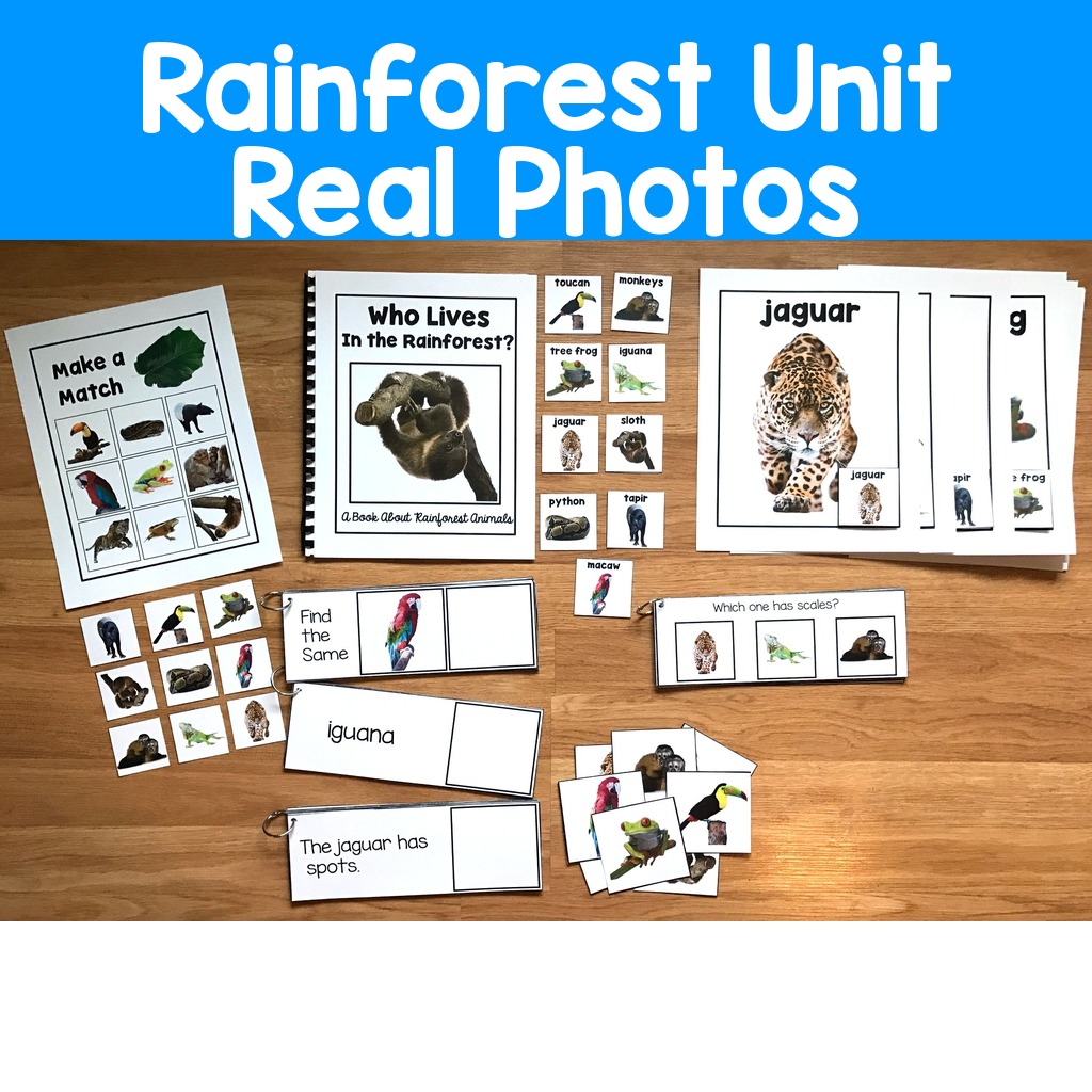Rainforest Unit (w/Real Photos)