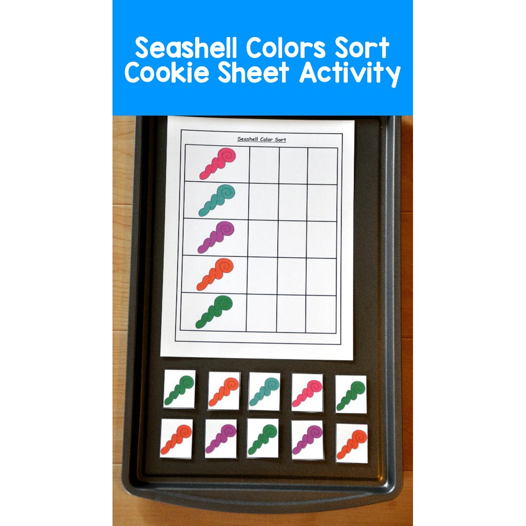 Seashell Colors Sort Cookie Sheet Activity