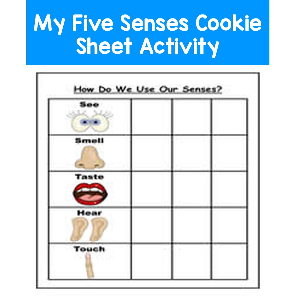 My Five Senses Cookie Sheet Activity