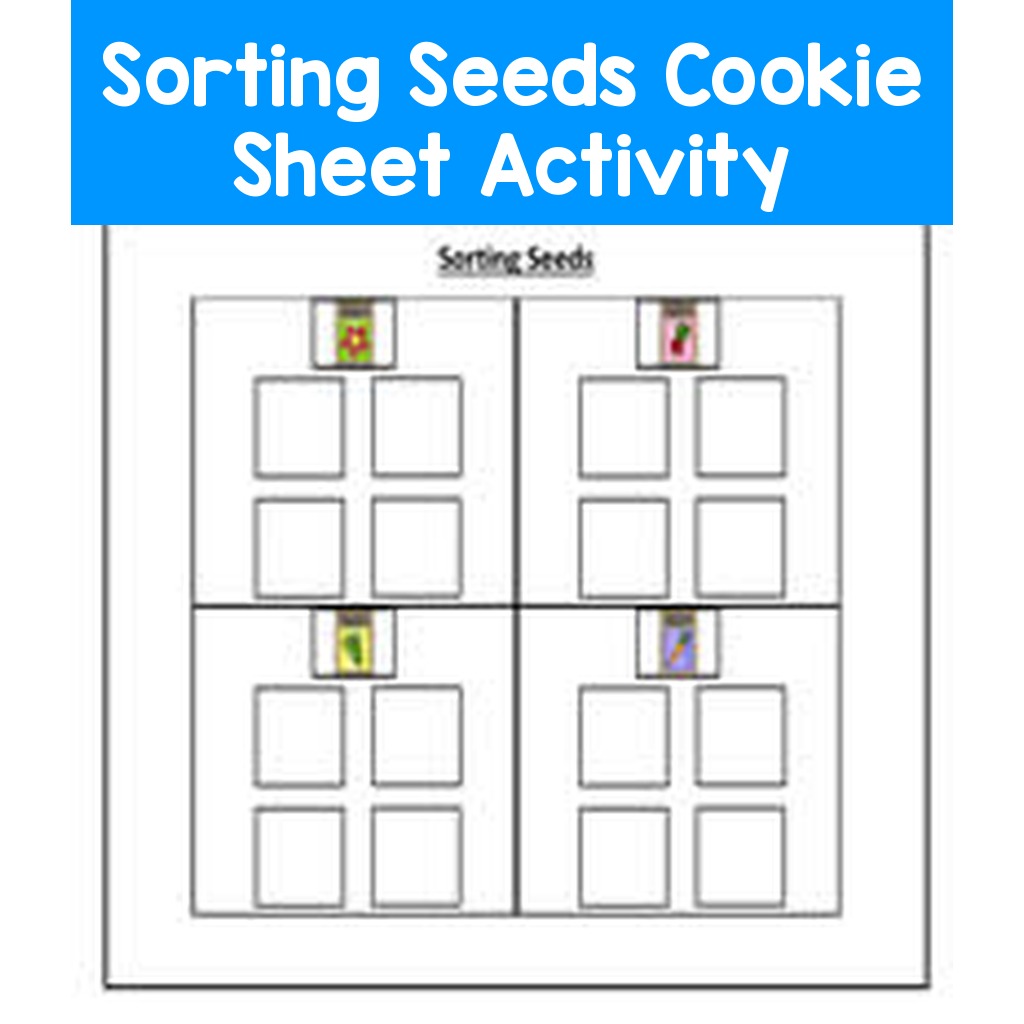 Sorting Seeds Cookie Sheet Activity