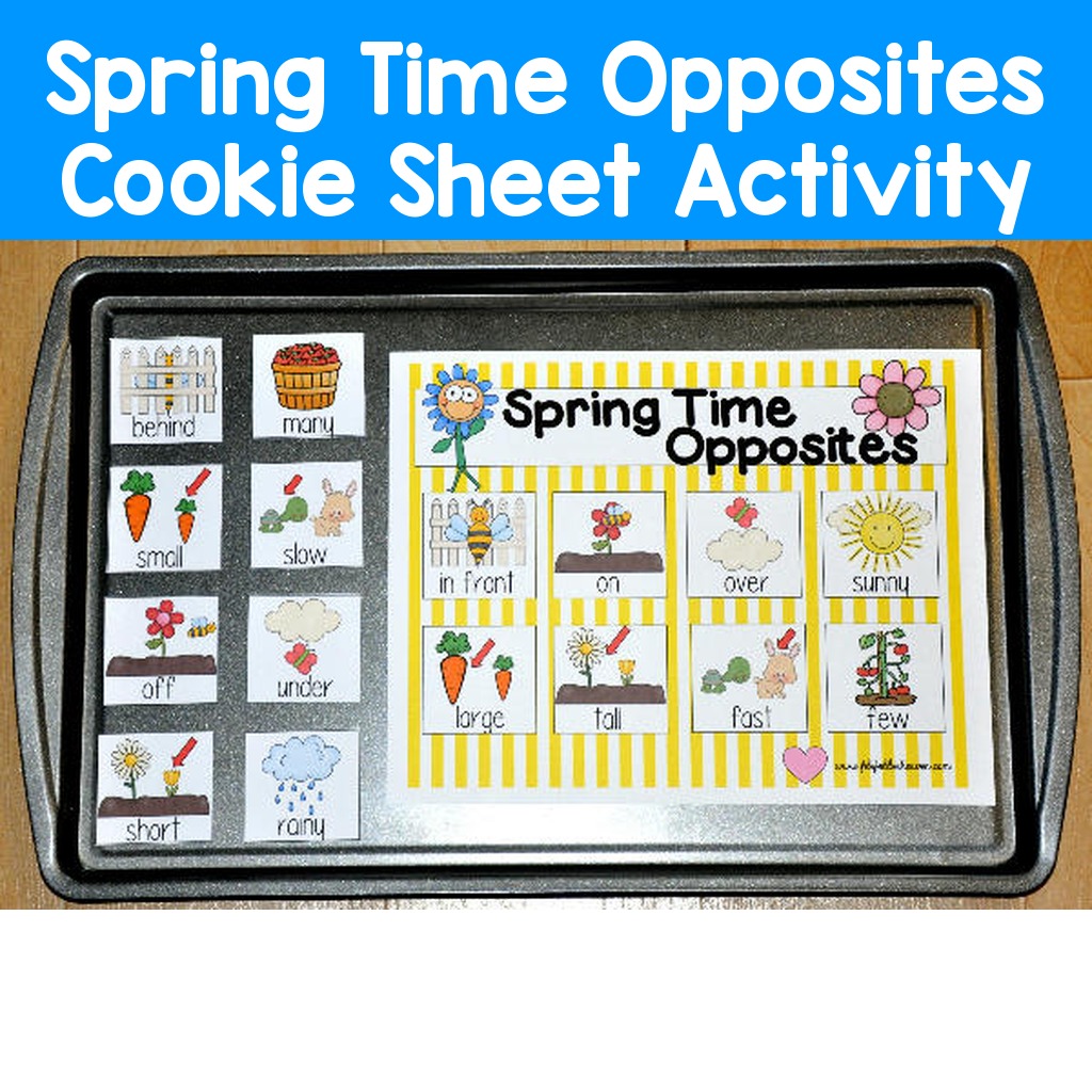 Spring Time Opposites Cookie Sheet Activity