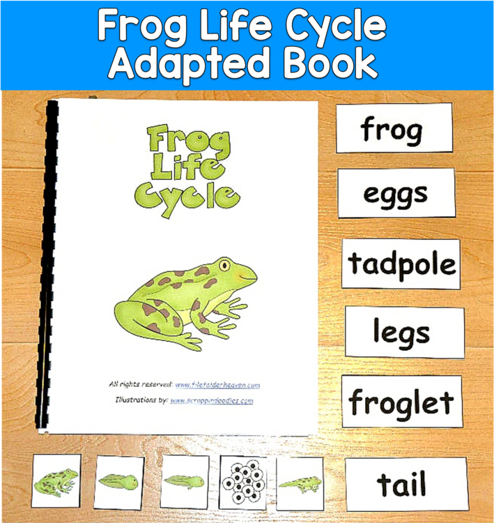 Frog Life Cycle Adapted Book | Science Vocabulary | SLP SPED Autism PreK
