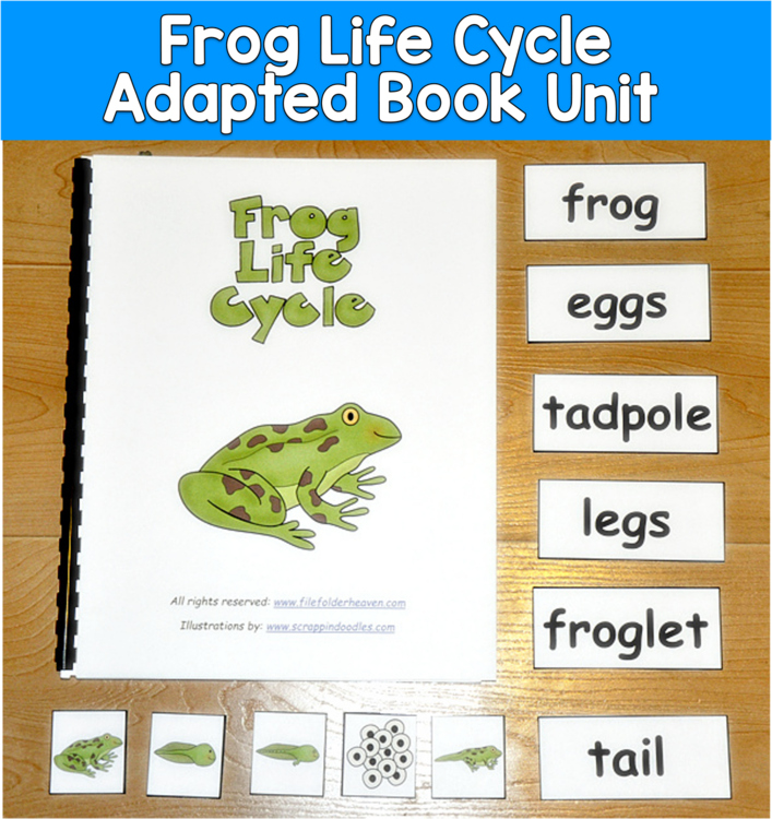 Frog Life Cycle Adapted Book Unit | Science Vocabulary | SLP SPED Autism PreK