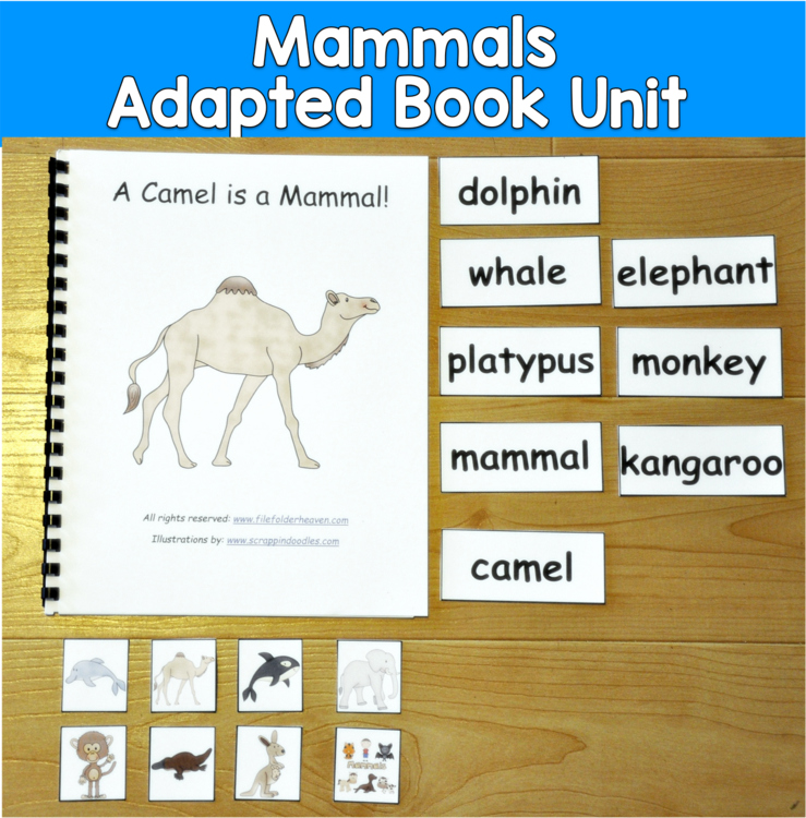 Mammals Adapted Book Unit | Vocabulary Animal Groups Science | SLP SPED Autism