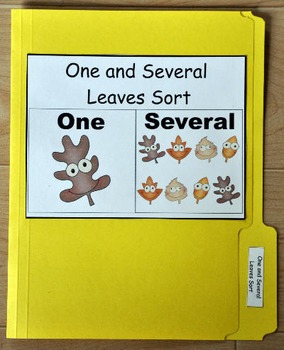 File Folder Game--"Fall Leaves:  One and Several Sort"